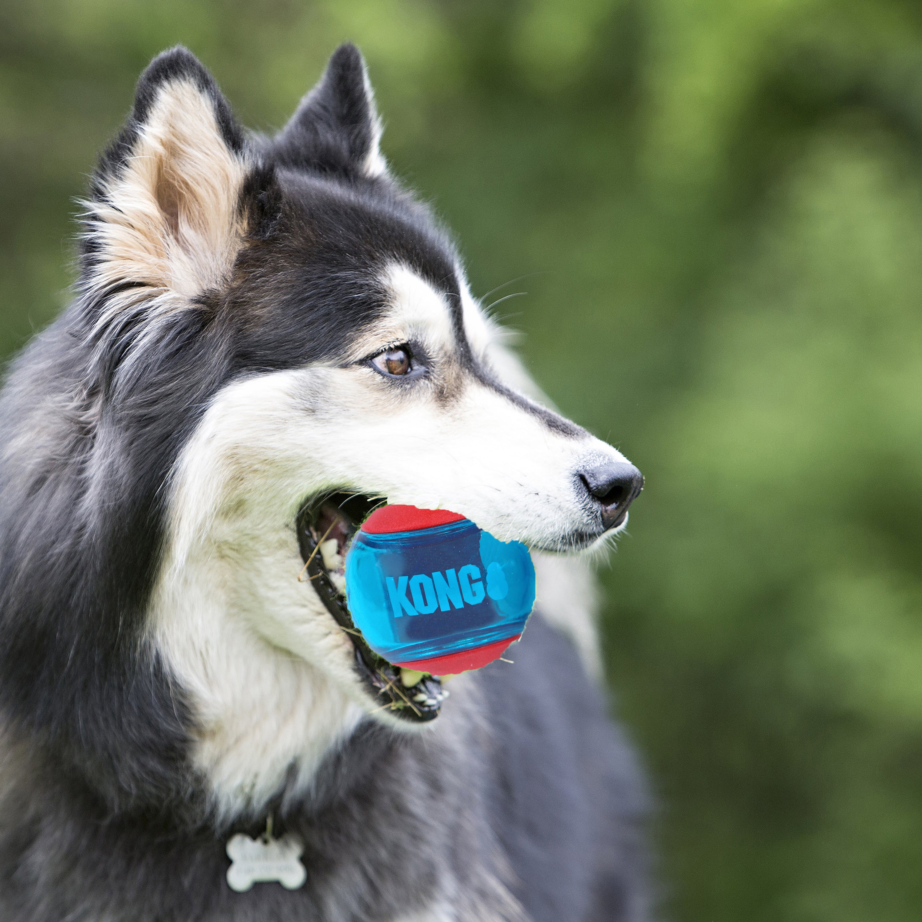 KONG Squeezz Action Honden Bal - Rubber - Rood - L - 8.3 cm Classies