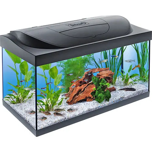Tetra Aquarium Starter Set - 54 liter - 60 x 30 x 30 cm - Zwart of Wit Classies