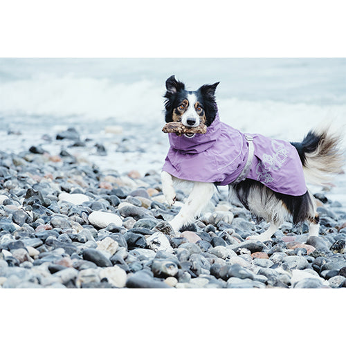 Hurtta Drizzle Coat regenjas - winterjas - zwart - paars Classies