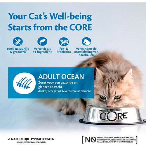 Wellness Core kattenvoer - droogvoer - Dry - verschillende smaken - 0,3 - 1,75 - 4 kg