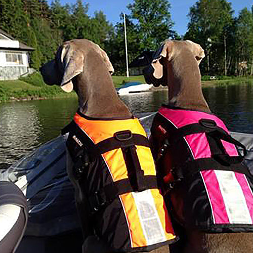 Baltic Hondenzwemvest Mascot - Verkrijgbaar in 4 kleuren en 6 maten 2ee89c-2