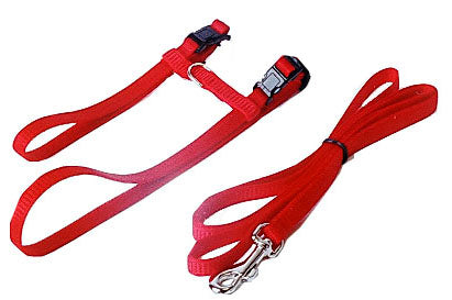 Boony kattentuig nylon met lijn zwart of rood Classies