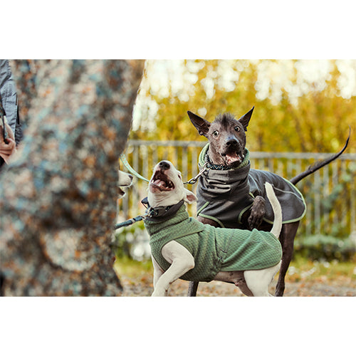 Hurtta Hundemantel bzw. Unterwolle Razzle Dazzle Midlayer zweiseitig