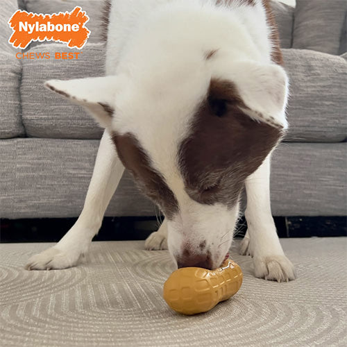 Nylabone Kauwspeelgoed Wolf Peanut Treat Toy Pindakaas - Medium voor Honden tot 16 kg