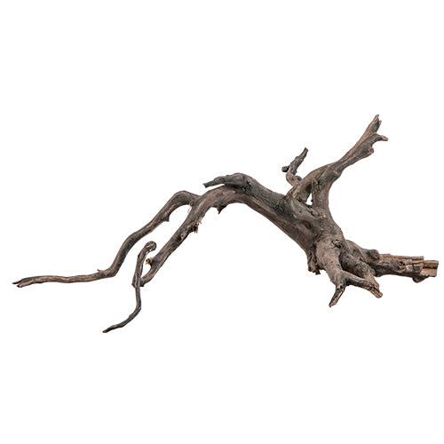sera Scaper Root