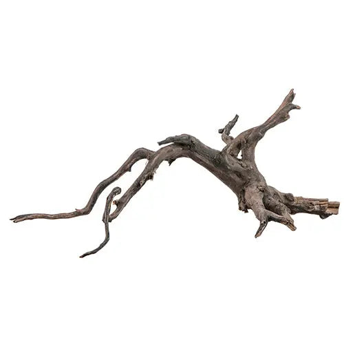sera Scaper Root Classies