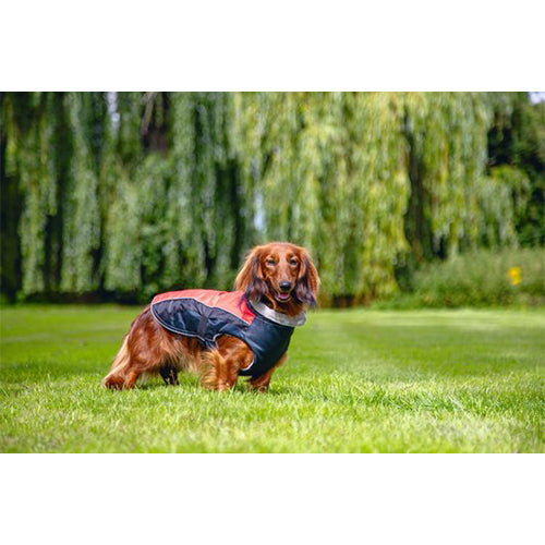 Beeztees Saby Waterproof Hondenjas - Rood/Zwart - Ruglengte: 24 cm Classies