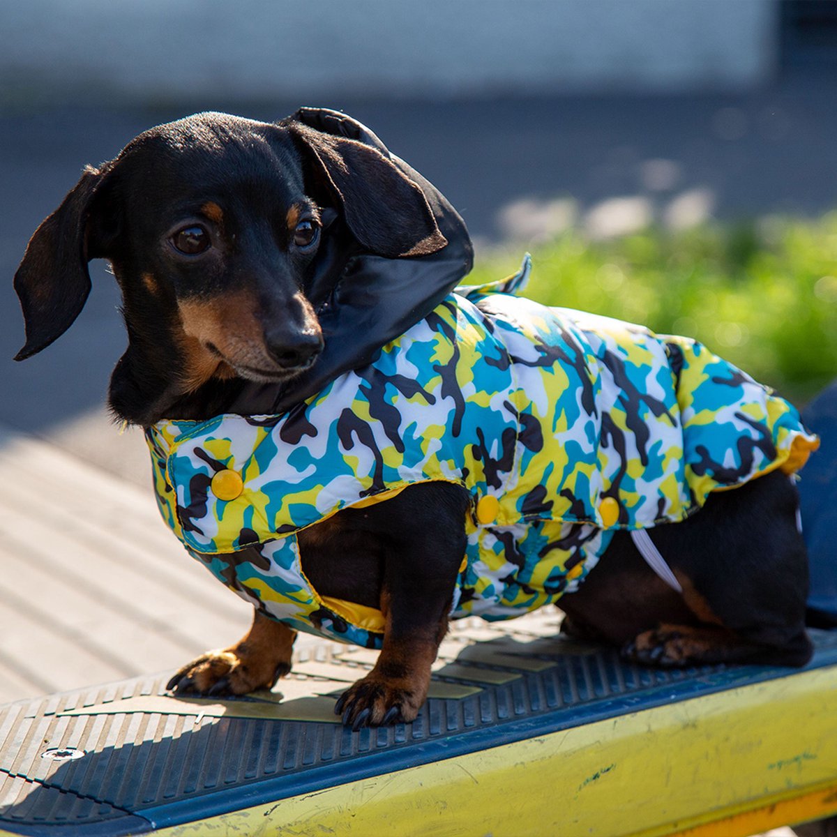 Croci Hundemantel Kinky Camouflage