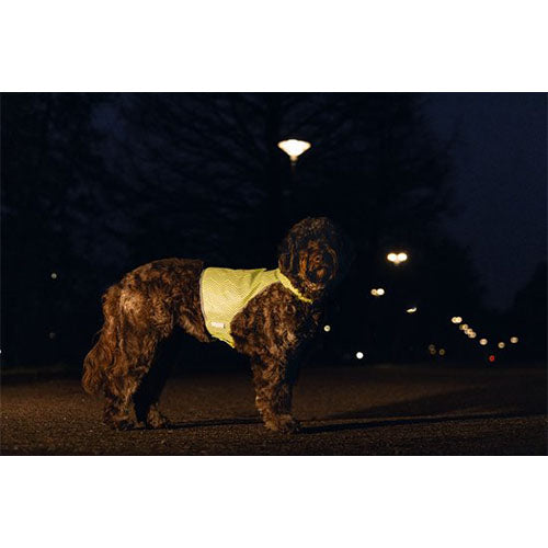 Beeztees Safety Gear Veiligheidsvest Ava - Maat M - Nekomvang: 40 tot 48 cm - Borstomvang: 56 tot 64 cm Classies