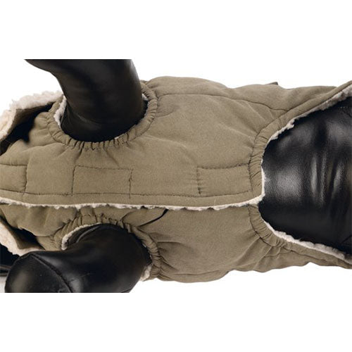 Designed by Lotte Philos Hondenjas Maat XS: ruglengte 20 cm Classies
