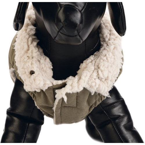 Designed by Lotte Philos Hondenjas Maat XS: ruglengte 20 cm Classies