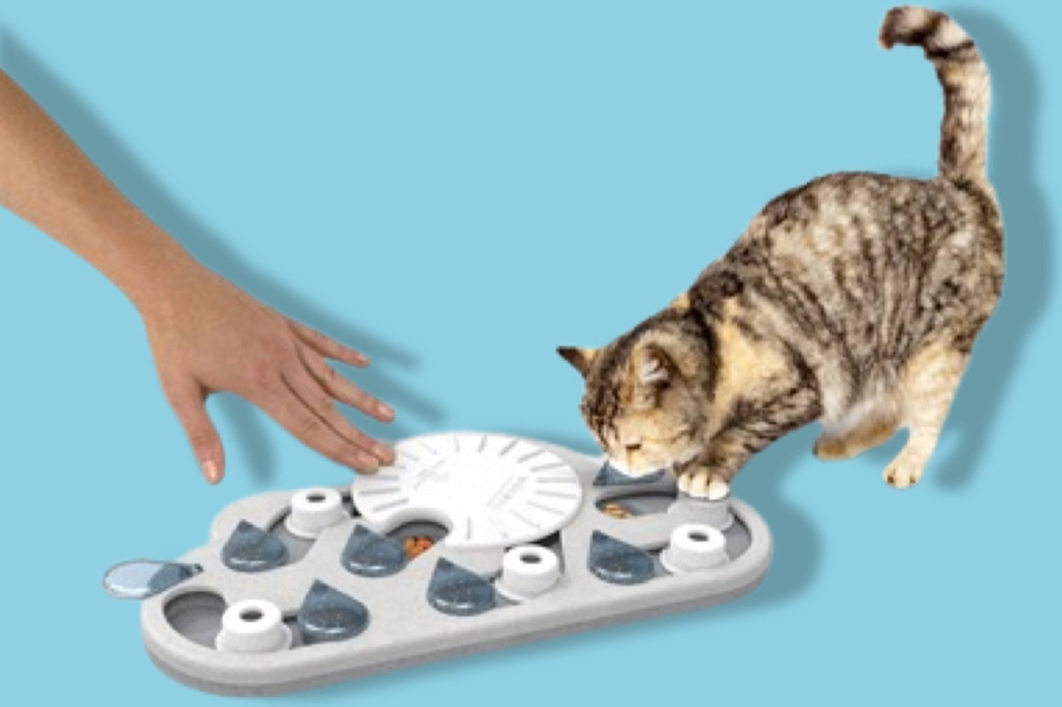 Nina Ottosson - Puzzle & Spiel Rainy Day