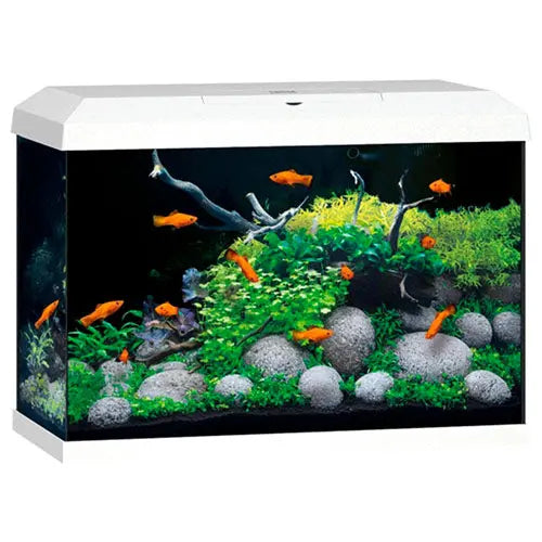 Juwel Primo 70 aquarium - 70 liter - 61 x 31 x 44 cm - wit of zwart Classies