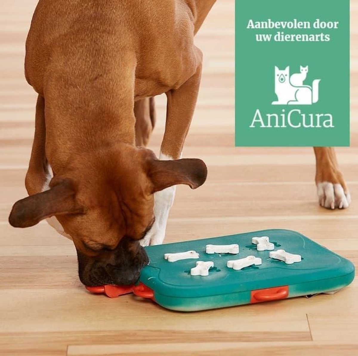 Nina Ottosson Dog Casino – Türkis/Orange – 31,5 x 26 x 4,5 cm