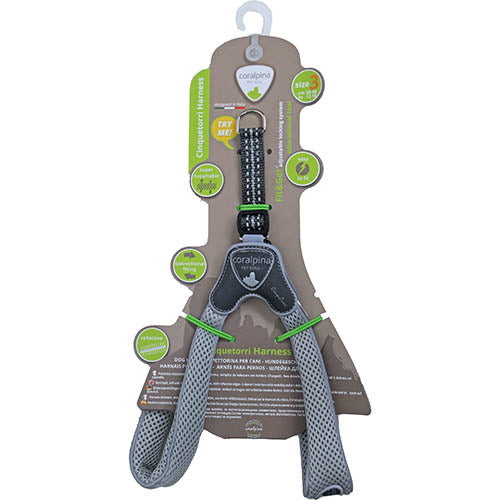 Luxus Coralpina Geschirr Cinquetorri hellgrau