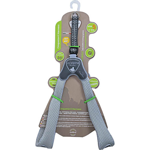 Luxus Coralpina Geschirr Cinquetorri hellgrau