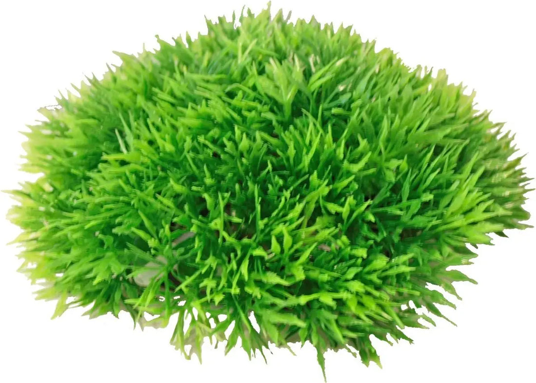 Boon Aqua Deco Bubbel Kunstplant Plastic Green Moss - Met Uitstromer - 14x6 cm Classies