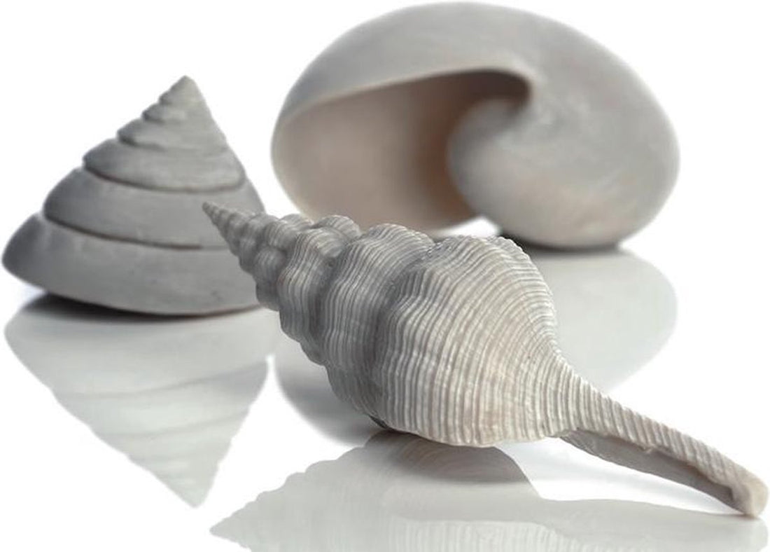 Biorb schelp set - wit