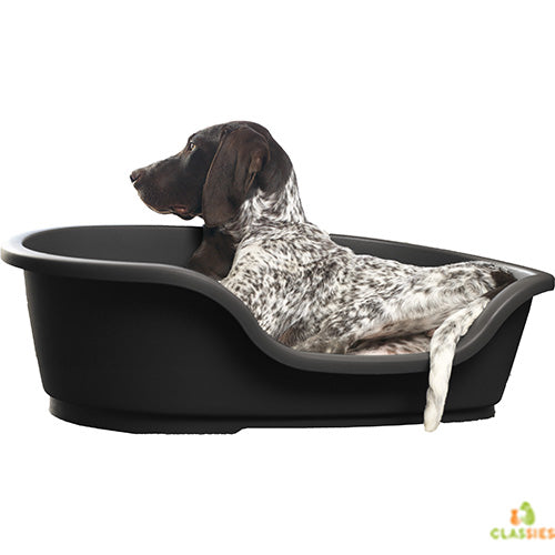 Moderna Domus Hundebetten aus Kunststoff – Schwarz oder Grau – 4 Größen