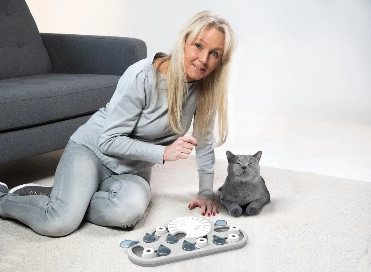 Nina Ottosson - Puzzle & Play Rainy Day Classies