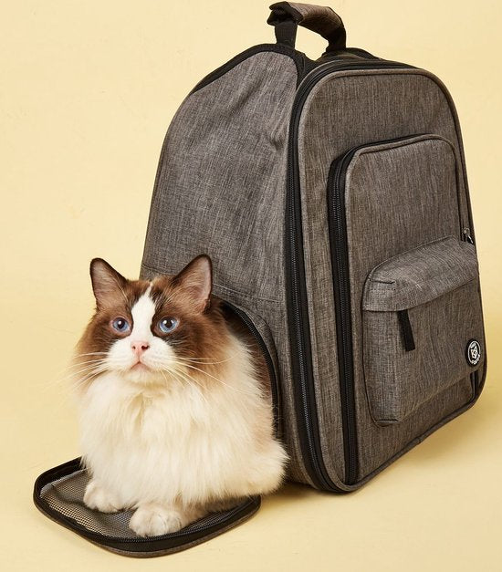 Fofos - erweiterbarer Rucksack - grau 36 x 27 x 40 cm grau