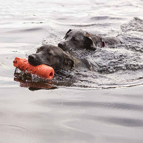 Kong Training Dummy - Verkrijgbaar in 2 maten