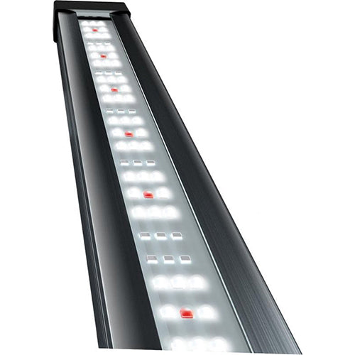 Tetra Tetronic LED Proline 580 mm