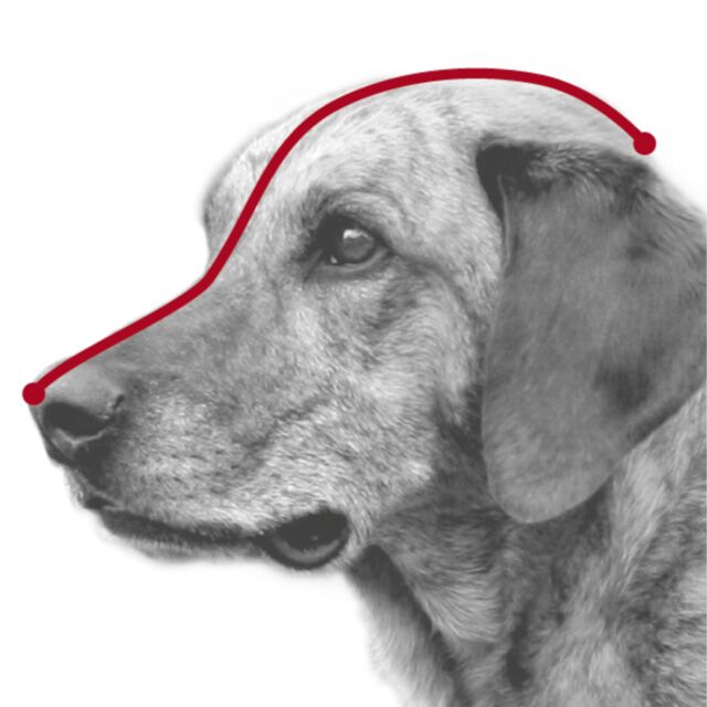 Trixie muilkorf kunststof zwart