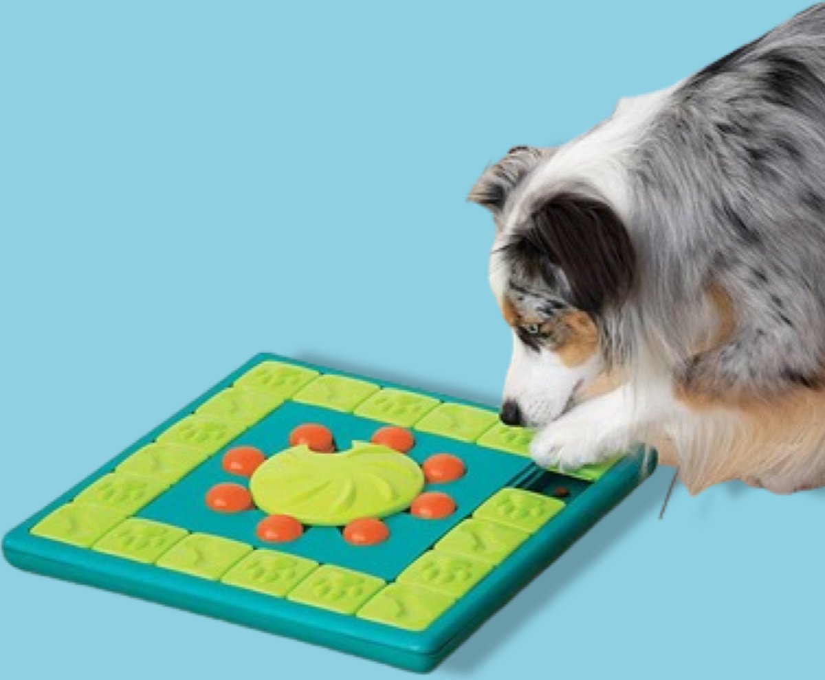 Nina Ottoson Intelligenzspielzeug Multipuzzle