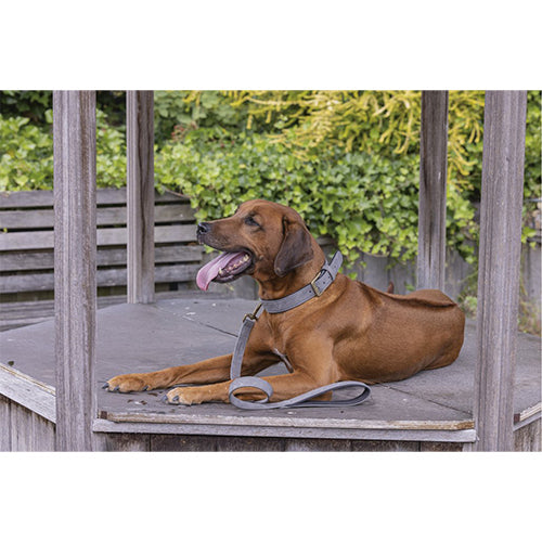 Beeztees Balacron Ax Kunstleren Hondenriem - Grijs - 100 cm x 20 mm Classies