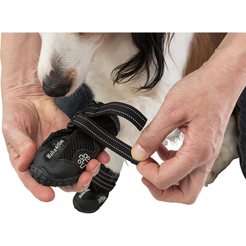 Trixie Walker Active Hundeschuh, Schwarz, Verschiedene Größen