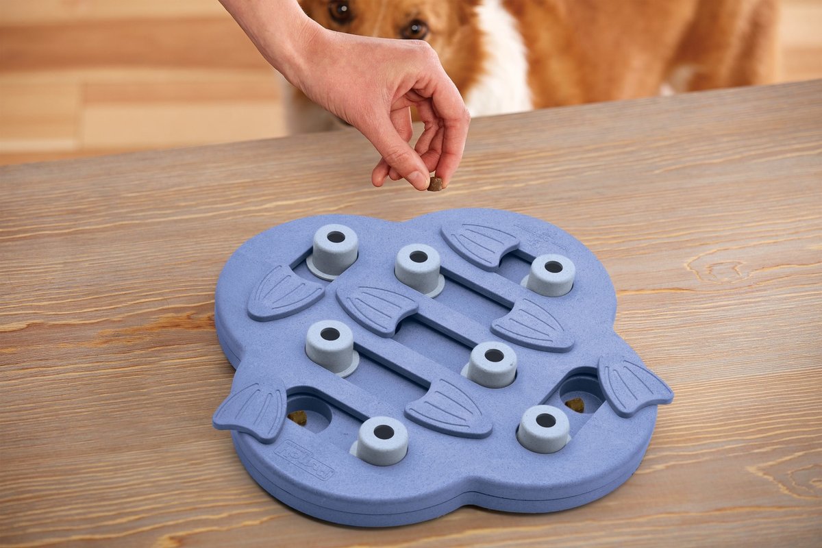 Nina ottosson dog hide n slide composiet 33x33x5 cm
