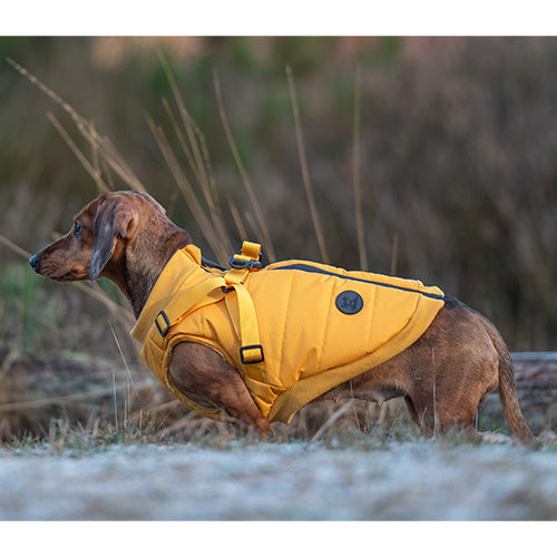 Jack and Vanilla Dogwalk Jacket Harness London - Hondenjas met Harnas - Geel - Verkrijgbaar in 7 maten