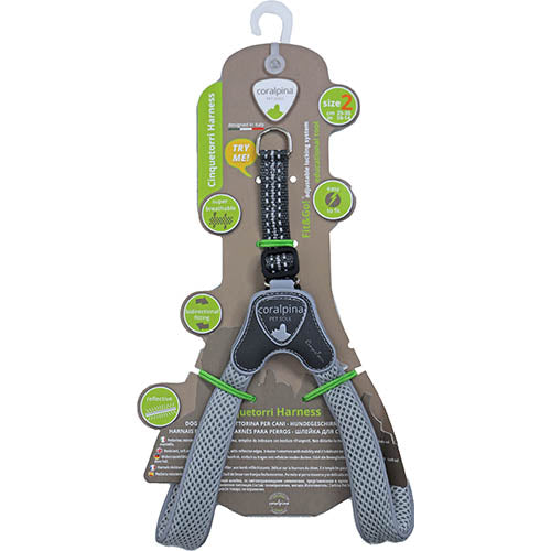 Luxus Coralpina Geschirr Cinquetorri hellgrau