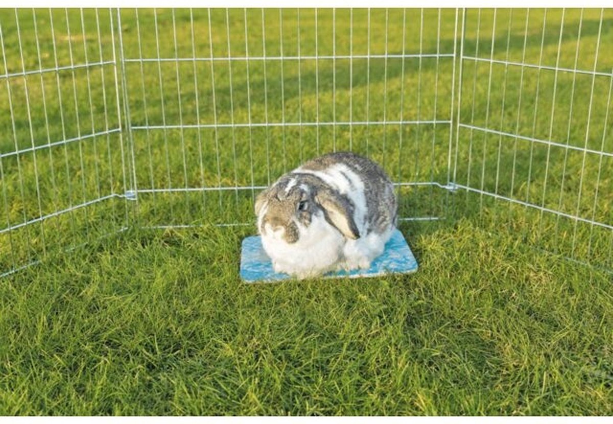 Trixie koelplaat hamster blauw (20X15 CM) Classies