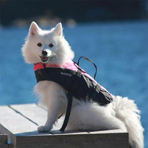 Baltic Dog Rettungsweste-Maskottchen – erhältlich in 4 Farben und 6 Größen