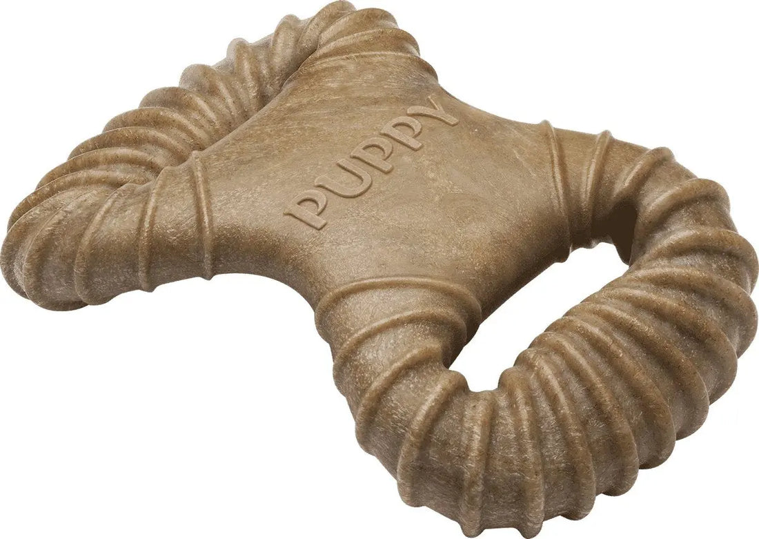 BENEBONE Puppy Pack (Dental Chew + Wishbone) Kauwspeelgoed - Nylon - XS - Set van 2 stuks Classies