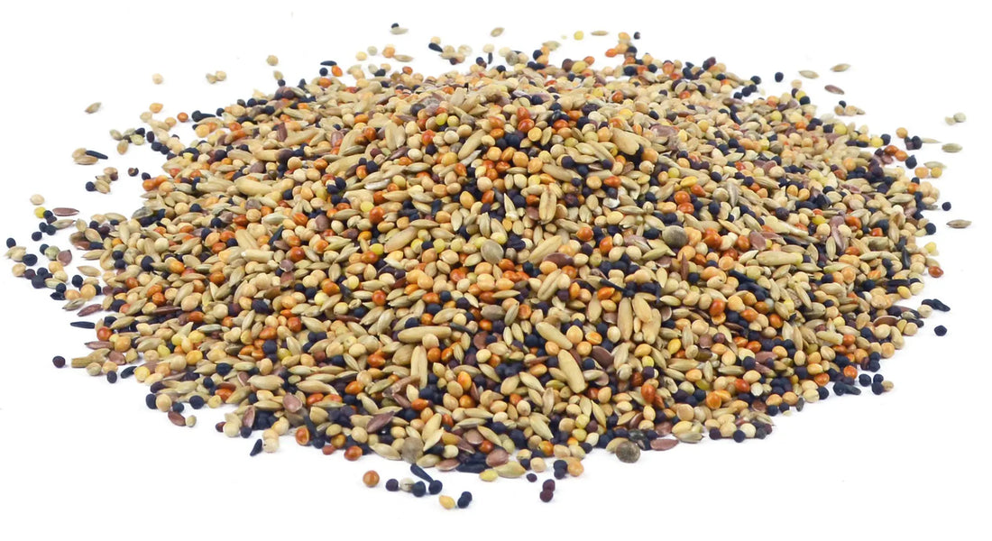 Vogelvoer Bird-X Volieremengeling 1 - 5 - 20 kg Classies