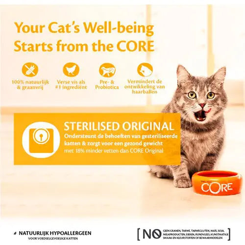 Wellness Core kattenvoer - droogvoer - Dry - verschillende smaken - 0,3 - 1,75 - 4 kg Classies