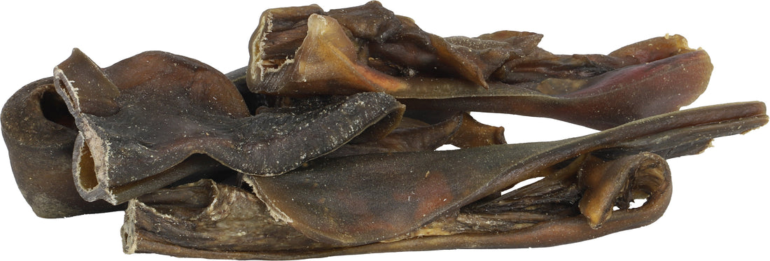 Boon Natuurlijke Snack - Kamelenhuid Gedroogd 250 gram Classies