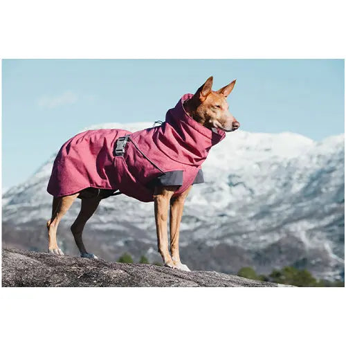 Hurtta Expedition Parka - warme winterjas in rood of grijs Classies