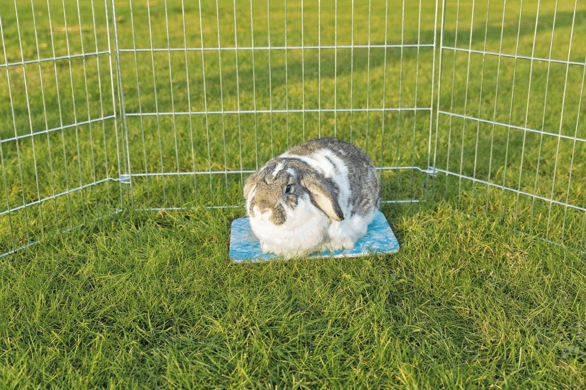 Trixie Koelplaat voor Kleine Dieren 28 x 20 cm Classies