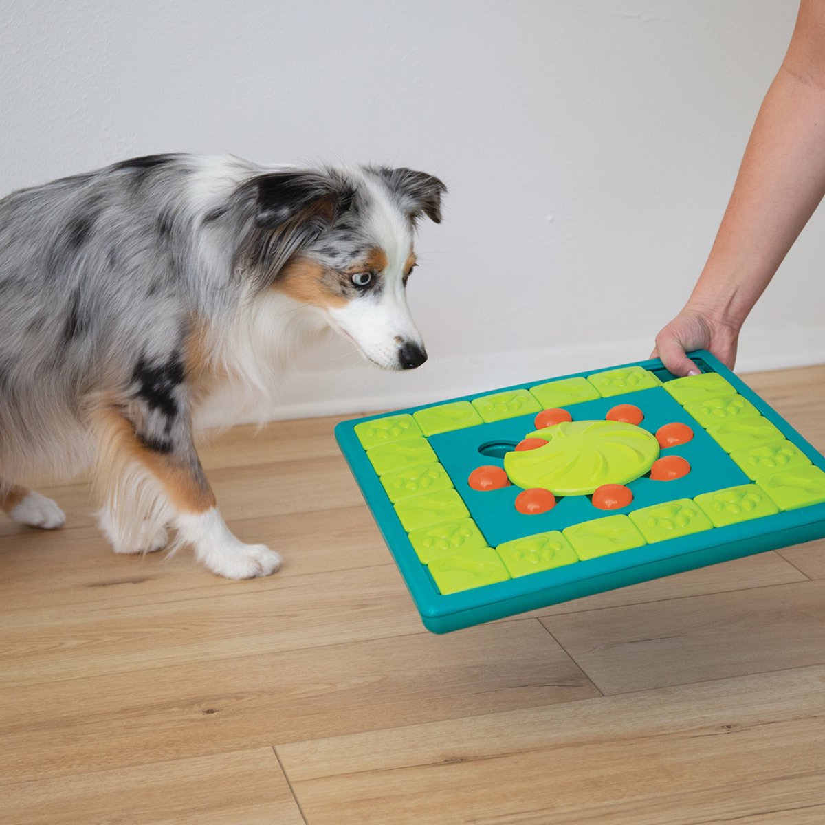 Nina Ottoson Intelligenzspielzeug Multipuzzle