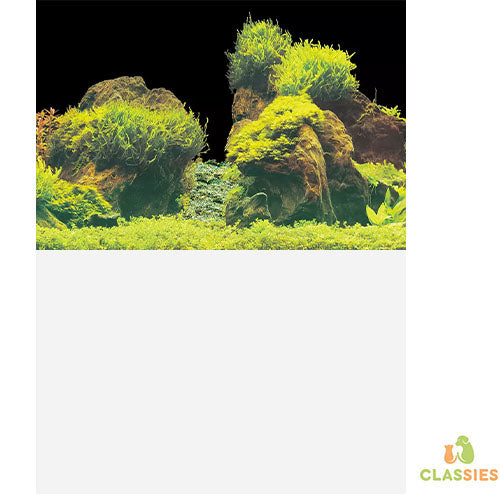 SuperFish Deco Poster E2 Achterwand - 60x49 cm