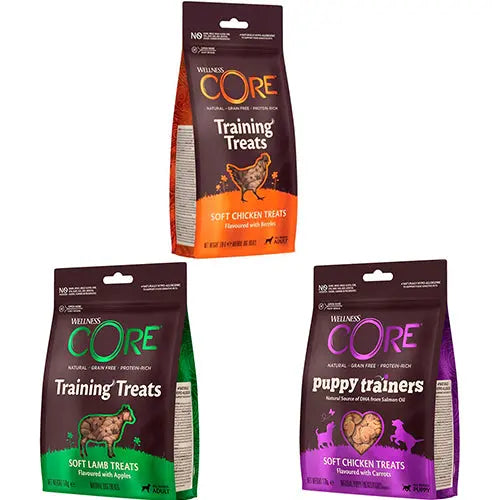 Well Core Trainer snacks 170 gram Classies