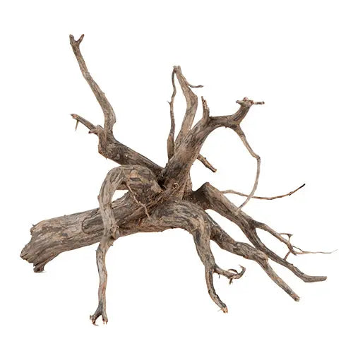 sera Scaper Root Classies