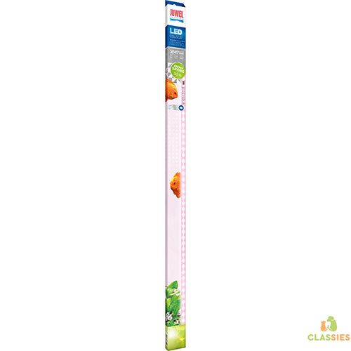 Juwel LED Aquarienlampe Farbe 4425k