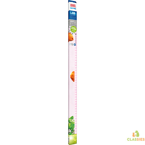 Juwel LED aquariumlamp colour 4425k Classies