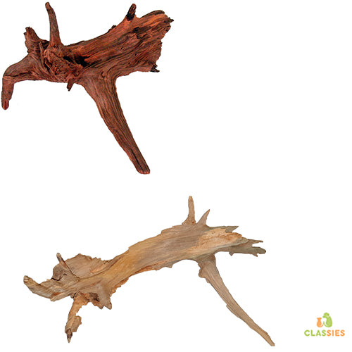 Pro Reptil Sparrenwortel S - L