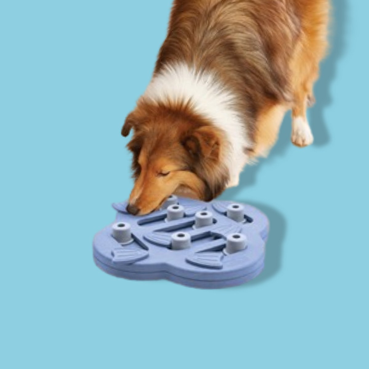 Nina Ottosson Hundeversteck und Rutsche, zusammengesetzt, 33 x 33 x 5 cm